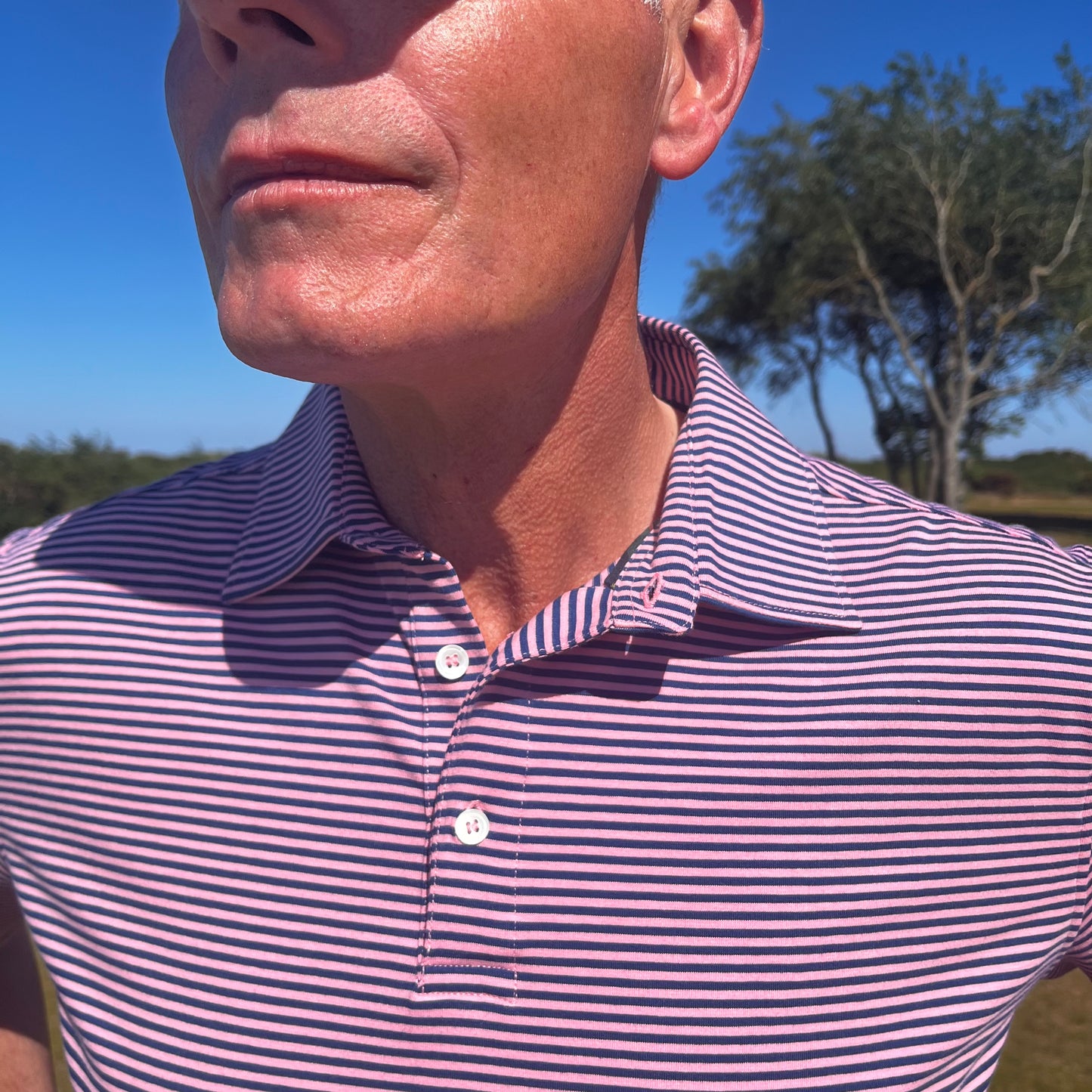 Dornoch Pima Cotton Medium Polo Stripe Shirt: Navy & Pink